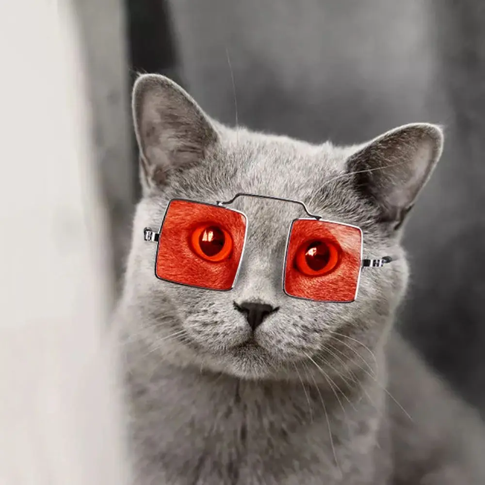 Plastic Fashion Pet Accessoires Square For Small Cat Pet Products Pets Party Decor Cat Glasses Cat Sunglasses Pet Glasses pet cat glasses lovely vintage round cat dog sunglasses reflection eye wear glasses photos props pet supplies accessoires toy