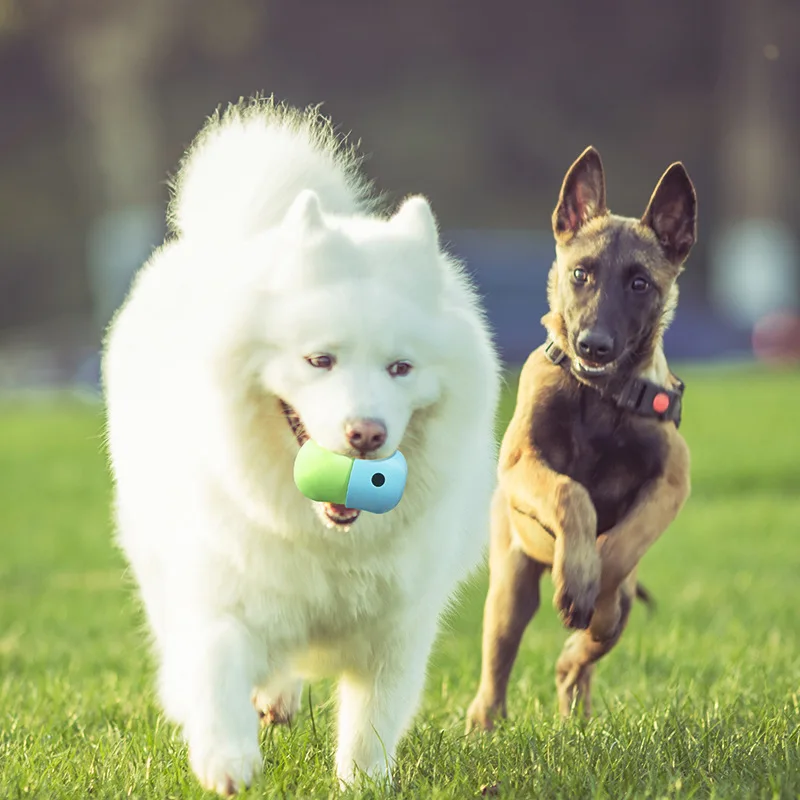 https://ae01.alicdn.com/kf/Sed6b9220c5cb4e3a993e71726a08aba3T/New-Interactive-Toy-for-Dog-Cat-Leaking-Ball-Puppy-Slow-Feeder-Bowl-Puzzle-Toy-Pet-Tooth.jpg