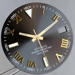 Grey Silver Sunburst 29mm Watch Dial with Roman Numerals and Multi - Colored Hand Set (Grey gold set)