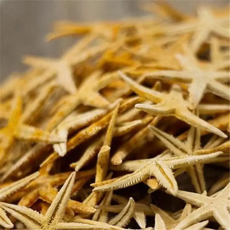 50 pcs 2-3cm starfish shell beach crafts natural starfish wedding decoration crafts home furnishings, natural shell ornaments, resin starfish ornaments