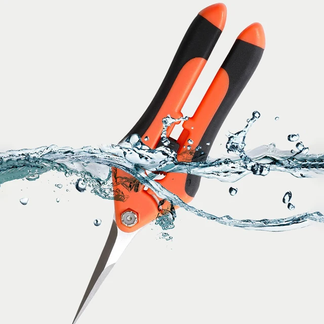 Garden Stainless Steel Flower Scissors Gardening Shears Fruit Grape Thinning Pruning Shears Straight Elbow Gardening Scissors 4