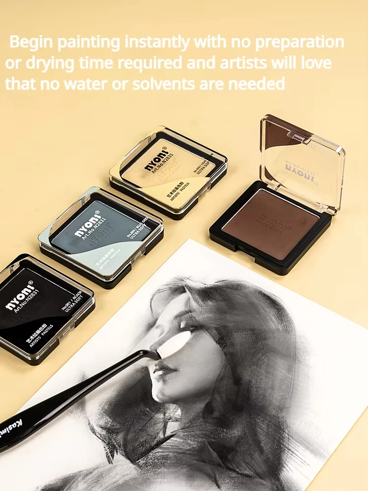 Artist Pastel Graphite And Charcoal Drawing Color Sketching Powders Blendable Pigment NYONI