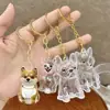 Dog Hair Collection Pendant Hair Storage Box Charm Pet Cute Keychains Clear Plastic Pet Hair Capsule Souvenirs DIY Gifts 6