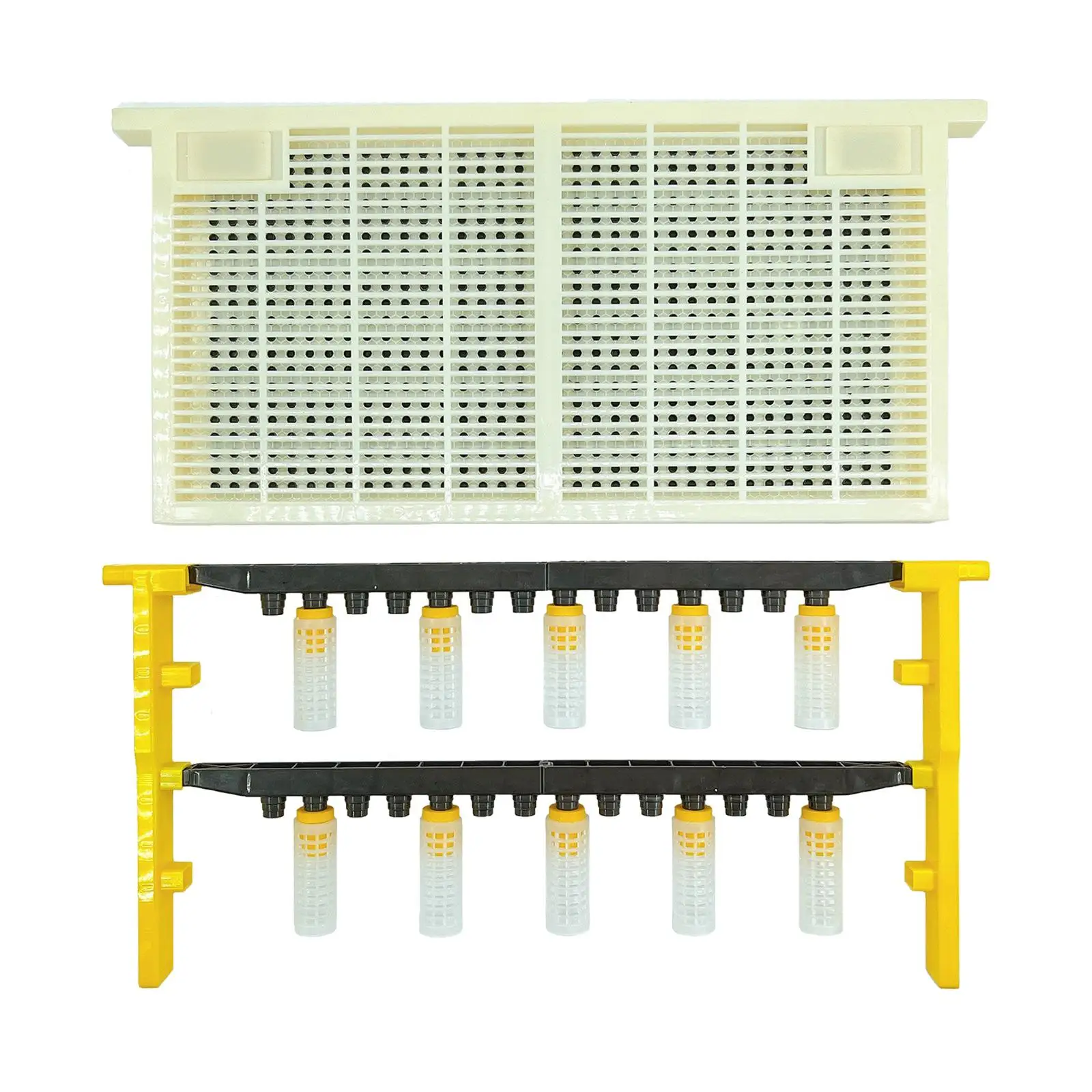 

Beekeeping Queen Bee Set Portable Beekeeping Queen Frame for