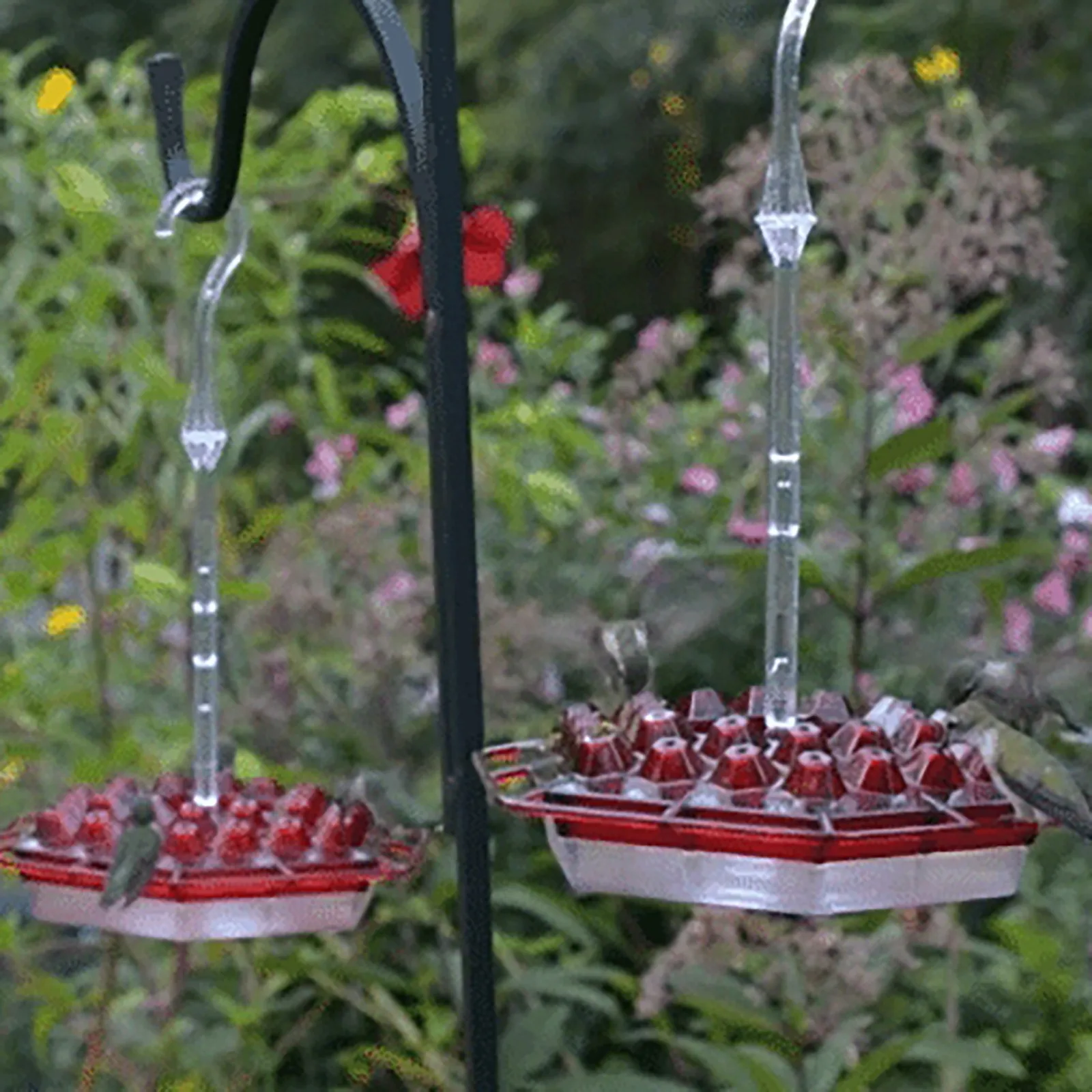 Summer Promotion 45% Off-hummingbird Feeders For Outdoors Hanging