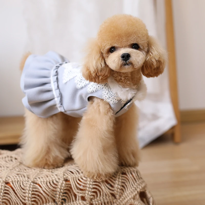 Light Oatmeal Dog Lace Skirt Korean Maltese Body Bichon Dress Pet Dog