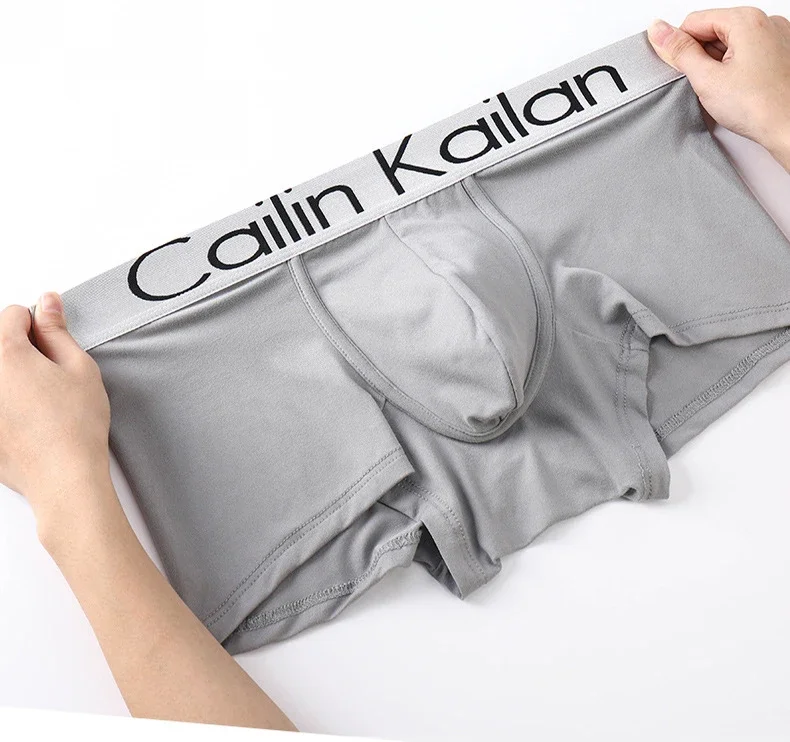 Boxer Shorts Men Underwear Brand Men Underwear Boxer Silk Mens Underpants Male Panties Boxers Breathable