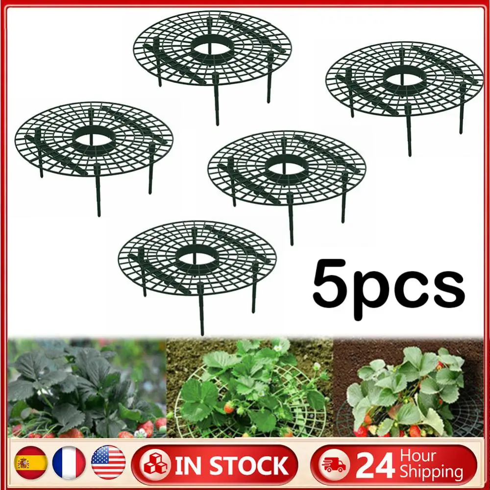 Strawberry Supports with 4 Sturdy Legs for Gardening