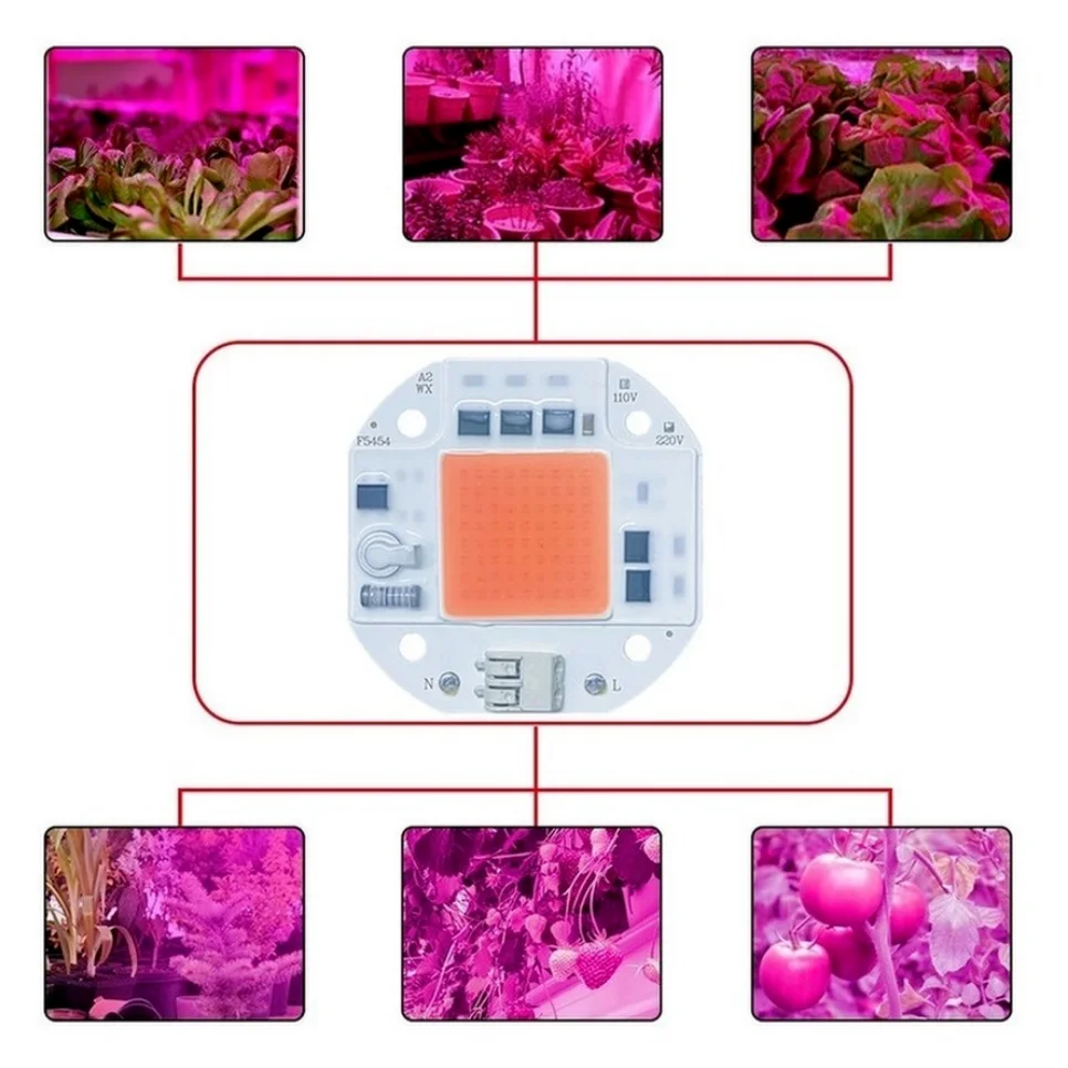 Slide image ff8c9ef9bb434a60a02ed03778d30f5d