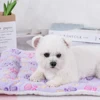 Dogs Bed Flannel Thickened Blanket Cushion Washable Dog Puppy Bed Accessories Medium Pet Large Basket Small Mat Warm Sofa Kennel 4
