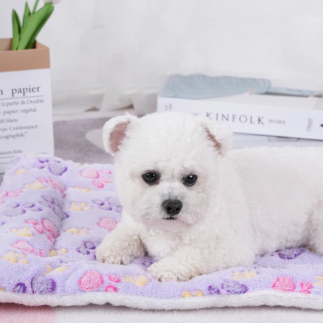 Dogs Bed Flannel Thickened Blanket Cushion Washable Dog Puppy Bed Accessories Medium Pet Large Basket Small Mat Warm Sofa Kennel 4