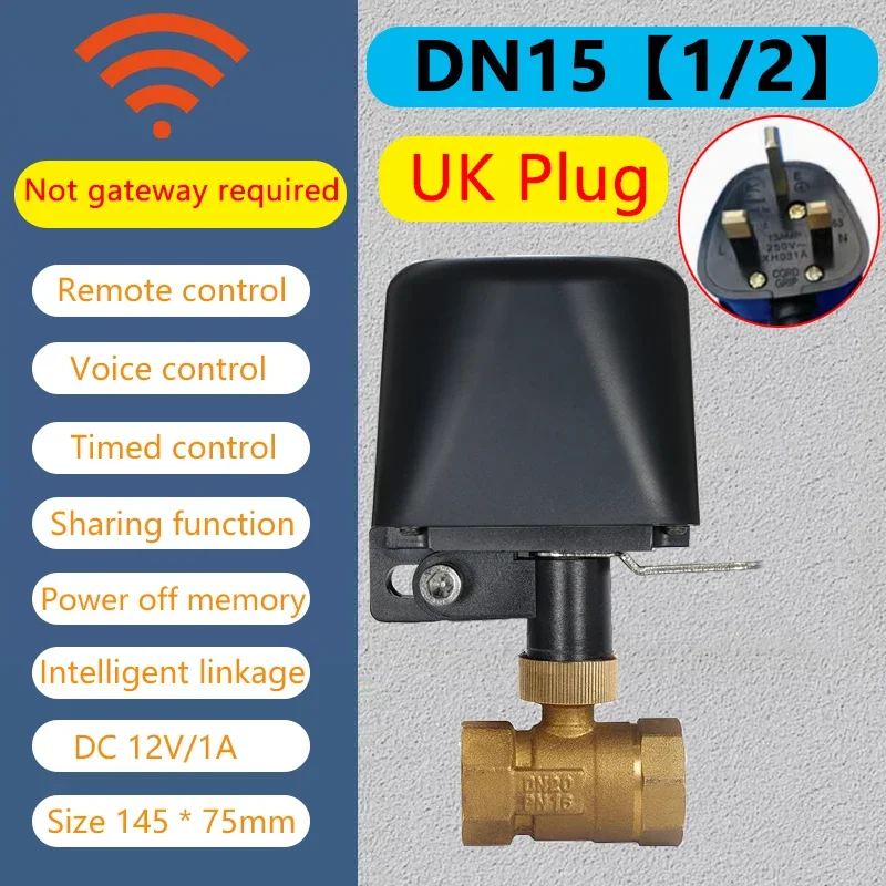 WiFi DN15 UK Plug