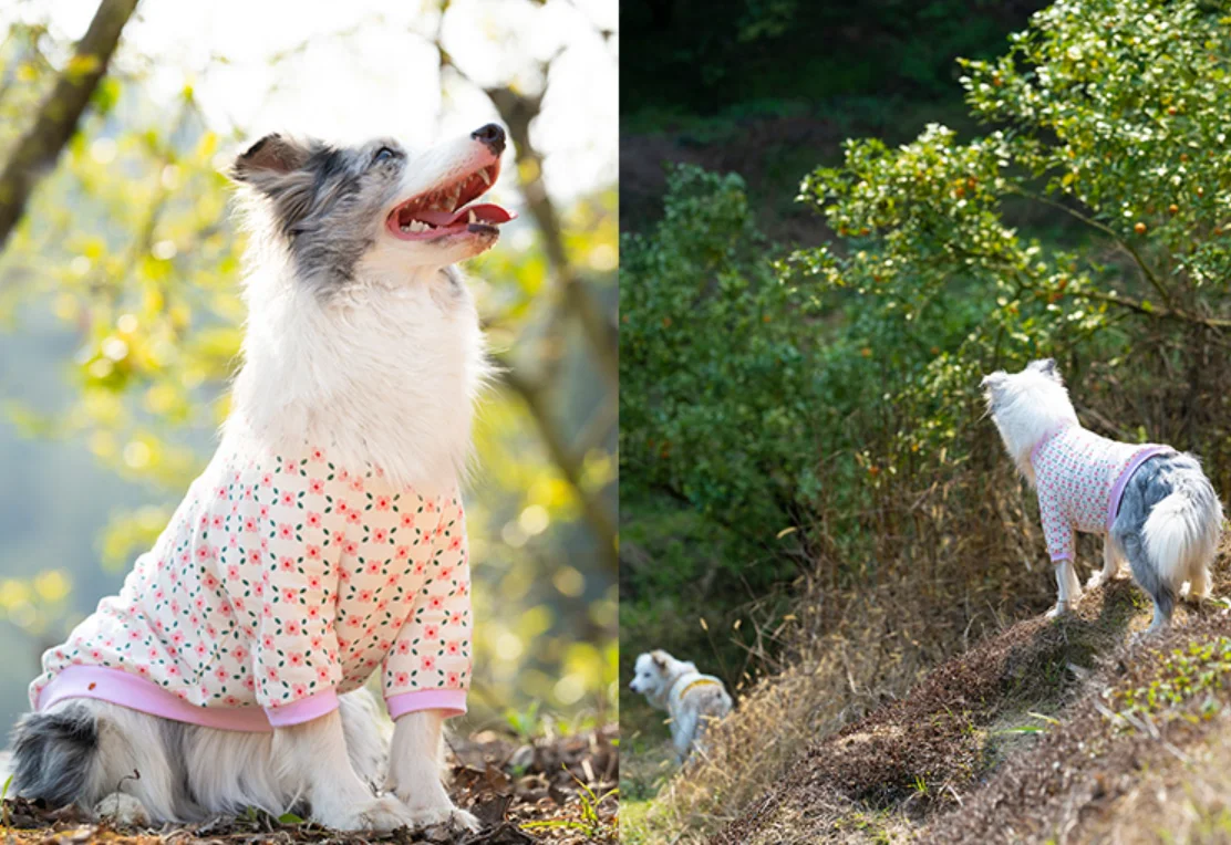 Thin Breathable Cotton Pet Pullover Clothes - PeticaDeals