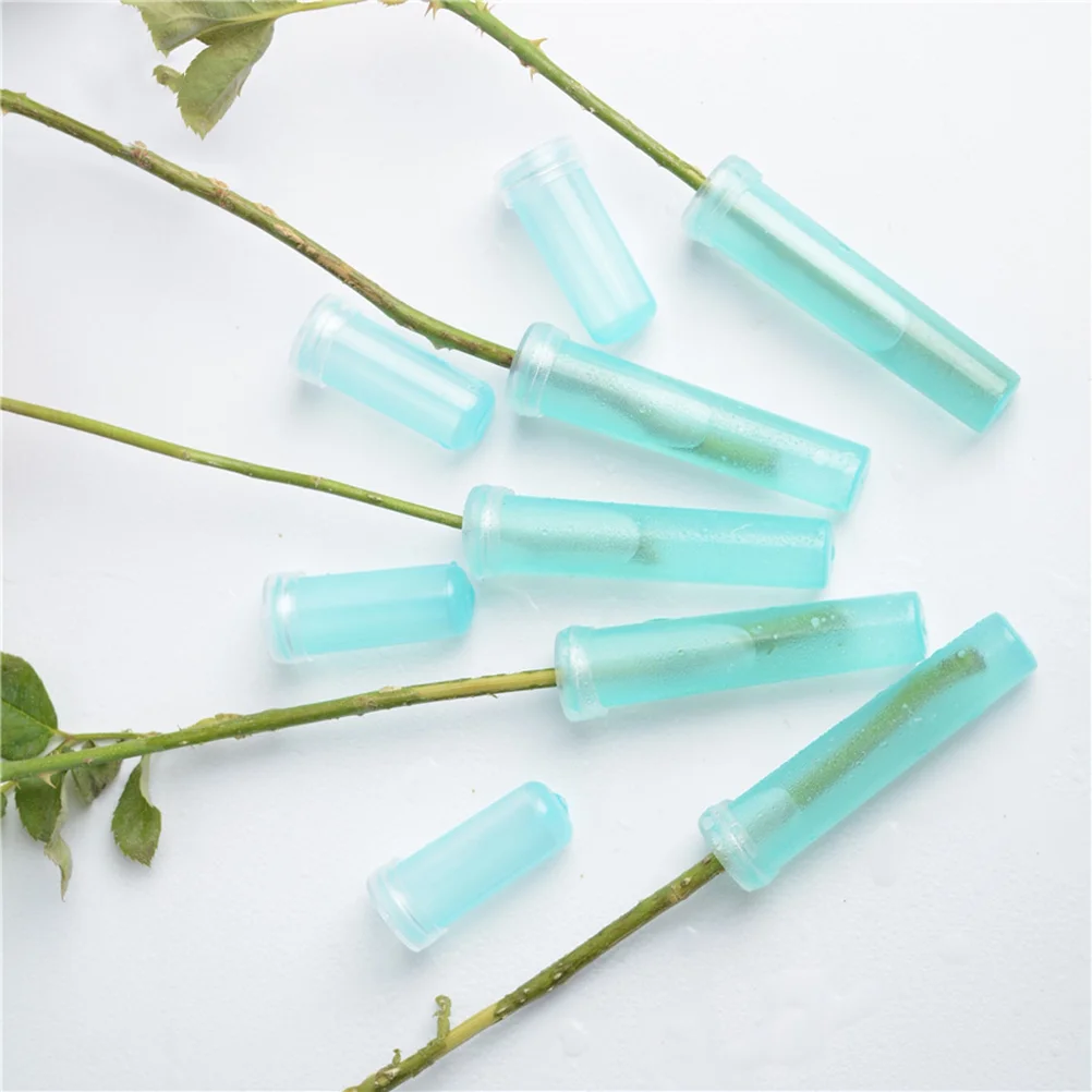 200pcs/100pcs Flower Nutrition Tube Plastic Floral Water Tube With Cap  Fresh Flower Water Container For Flower Shop Supplies - Pot Trays -  AliExpress