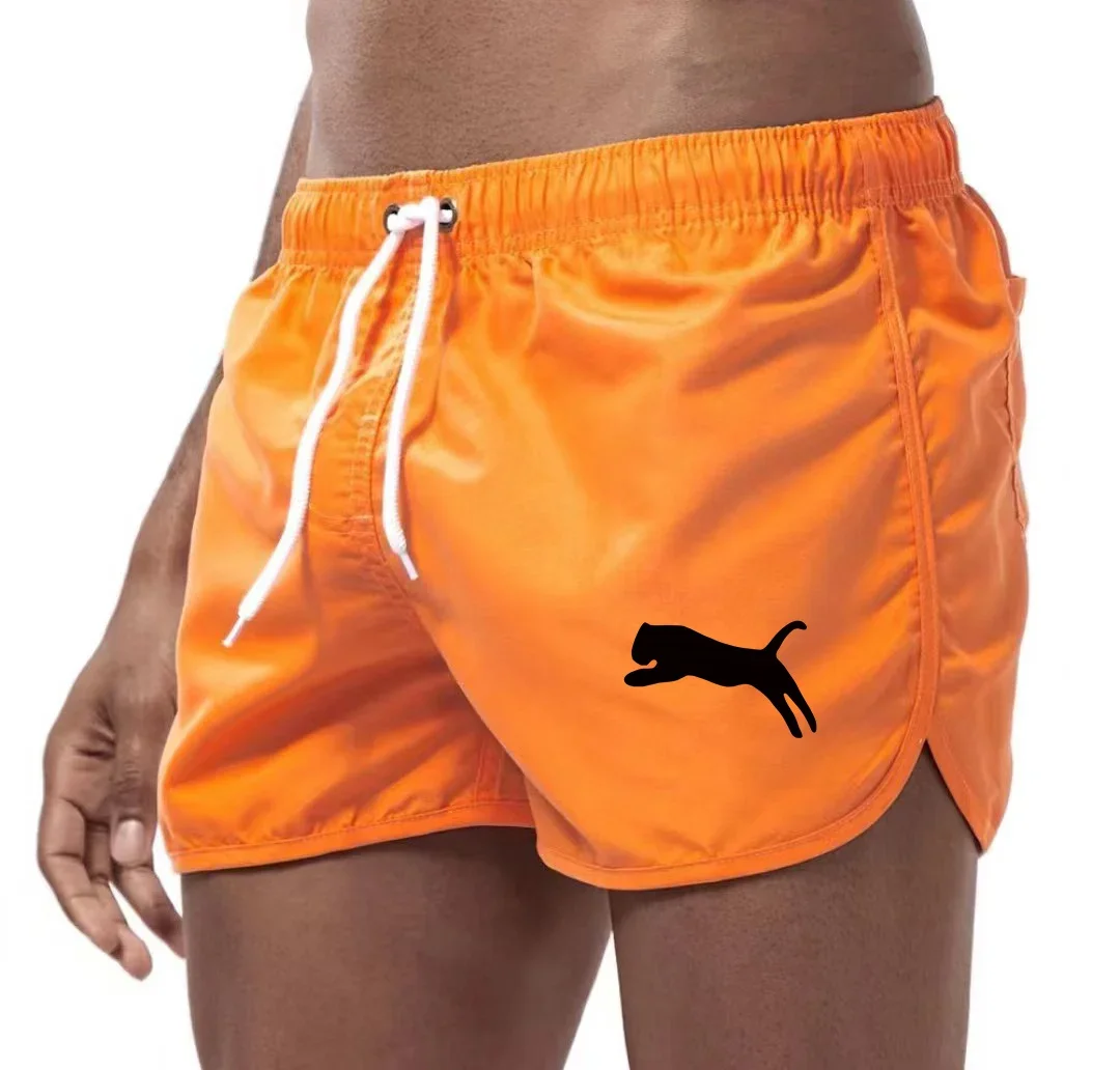 2026 Men's Beach Surfing Shorts Summer New Quick Drying Running Shorts Fashion Multi Color Sports Shorts
