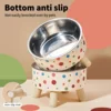 Cartoon Elevated Cat Bowl - Stainless Steel, Neck Protection & Anti-Choking, Large Capacity, Non-Slip Easy Clean Stylish Pet 3
