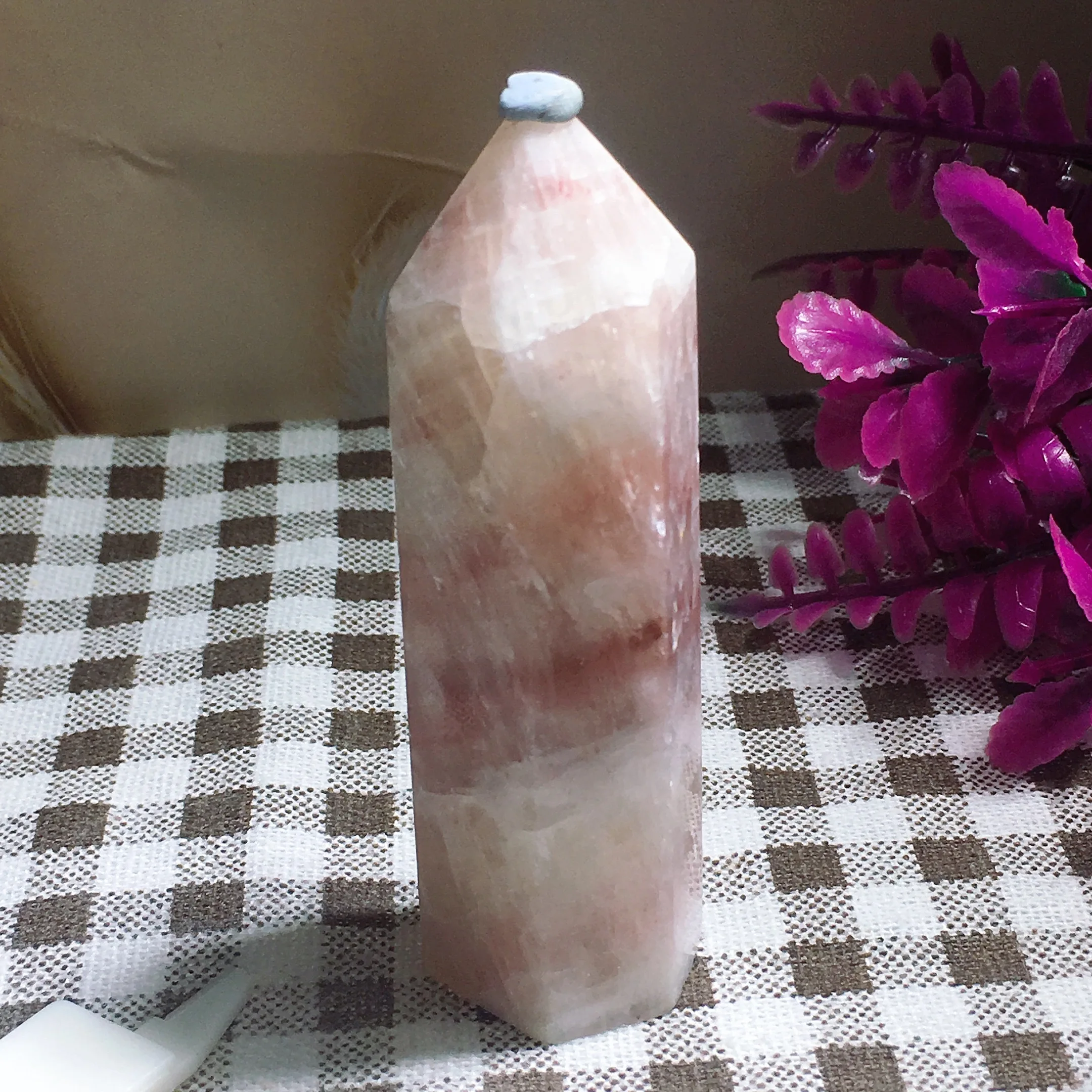 Pink Caribbean Tower 2549