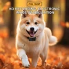 BORME HD 1080P Pet Cameras Dog Cat Pet Camera Wireless Collar Camera No WiFi Needed Video Records for Cats Dogs Birthday Gift 3