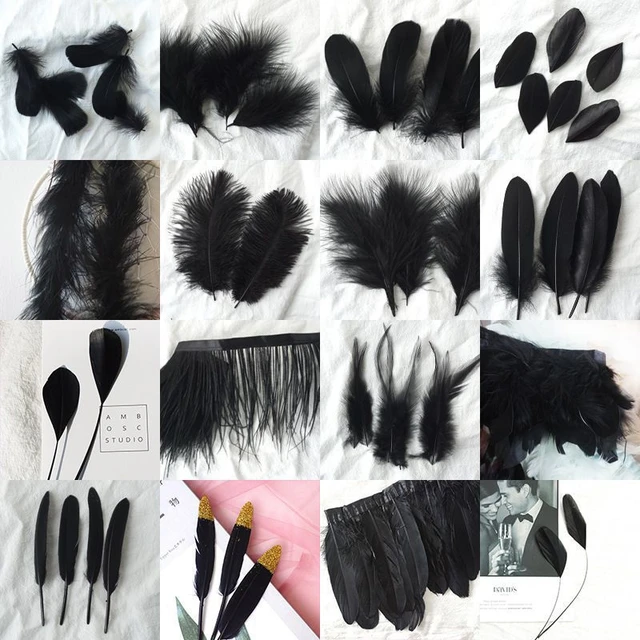 20pcs Variety of Black Feathers Rooster Goose Feathers Ostrich Pheasant  Feathers for Crafts Carnaval Assesoires Feather Decor