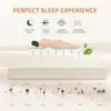 6 Mattress,  Certified Green Tea Memory Foam Mattress in a Box Fiberglass Free, Kids Mattress for Bunk Bed, 38"×75"×6", Beige 5