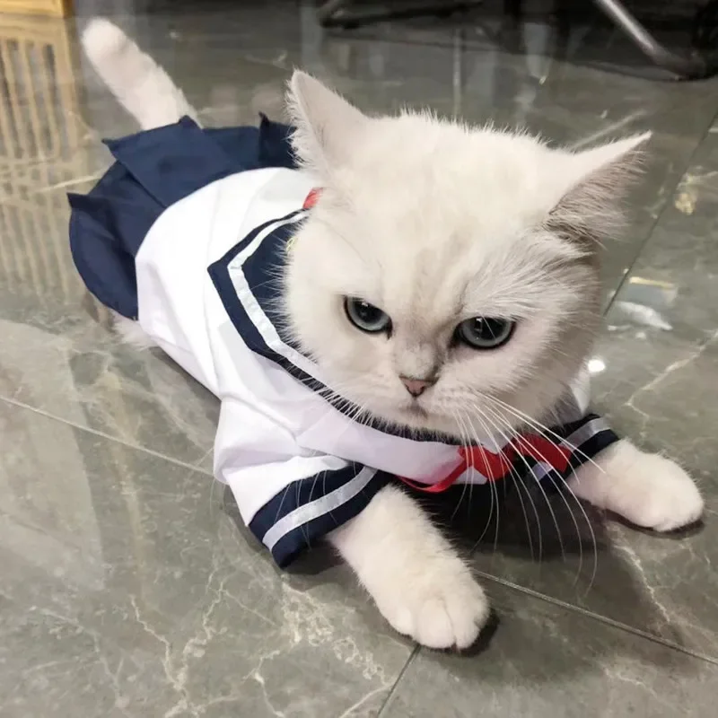 

New Pet Jk Uniform School Uniform Plaid Skirt Dog Clothes Cat Clothing Cute Shirt Skirt Teddy VIP Thin Princess Dress