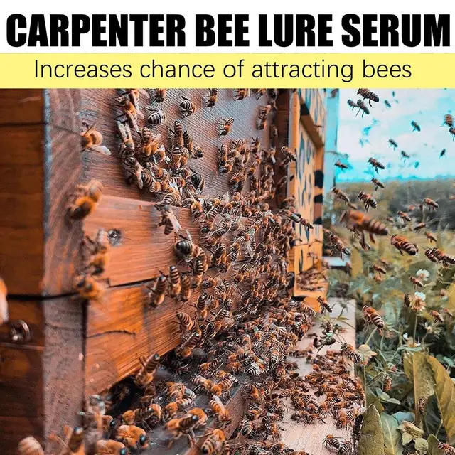 Bee Easy Vonzerő Esszencia 30 Ml Csali Mézes Szerszám Csapda Edények Méhészházat Vonzó Kolónia Méh W3A1 - Image 2