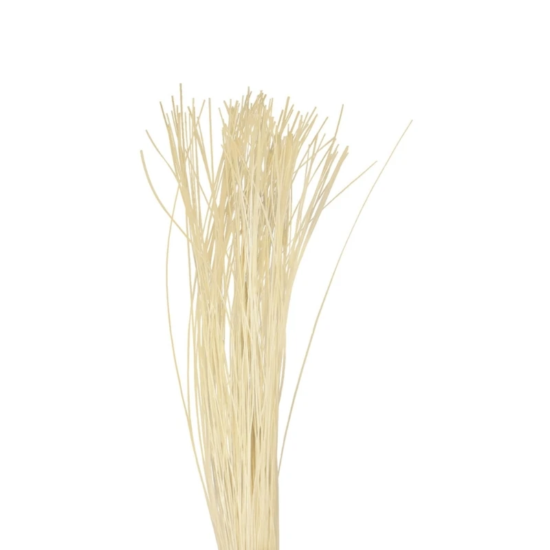 Slide image 9156bdc12e5542e694e8cac5ffd51264