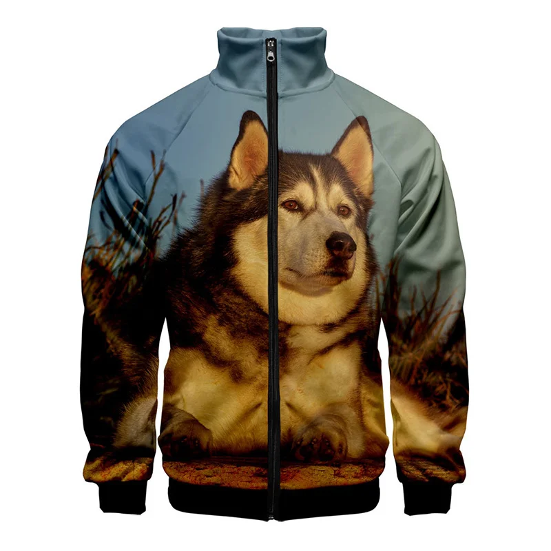 thumbnail image 1 of Nueva chaqueta con estampado 3D de husky para hombre, chaquetas con gráficos de animales de invierno para niños, ropa de calle divertida, ropa vintage, 1 of 4