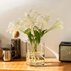 Vase Decoration Living Room Flower Arrangement Glass High-end Sense Transparent Water Treatment 2