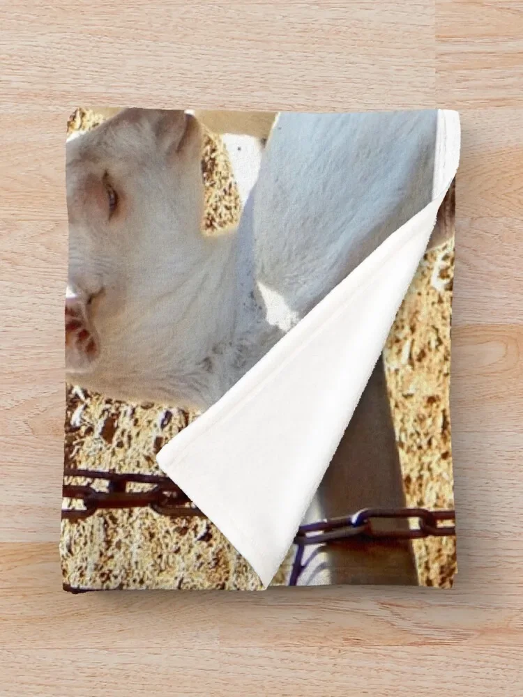 ������  ���� ������ ���, �ſ� ū ������, ������ ��� ���