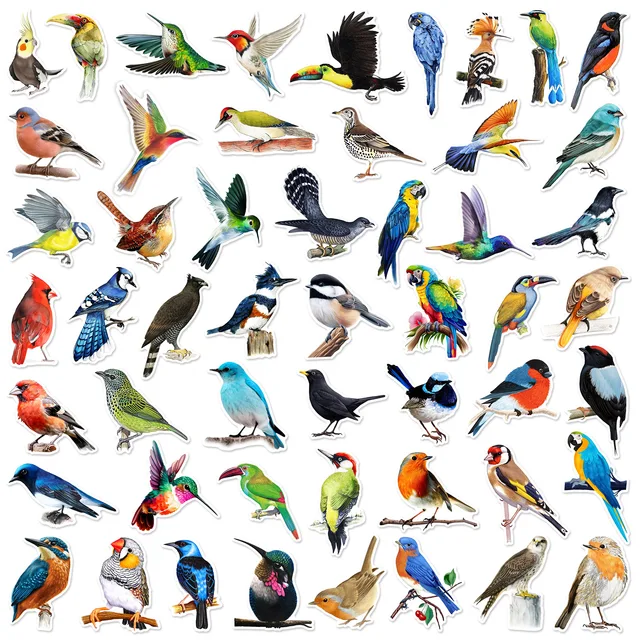 50pcs Colorful Birds Animals Cartoon Graffiti Stickers DIY Phone Guitar Laptop Notebook Suitcase Cup Waterproof Sticker Kids Toy 3