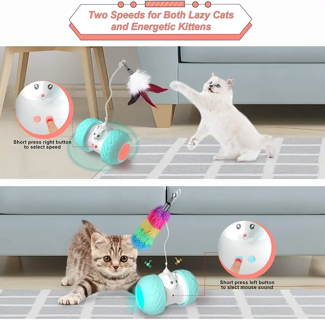 Interactive Cat Indoor Automatic Kitten Toys