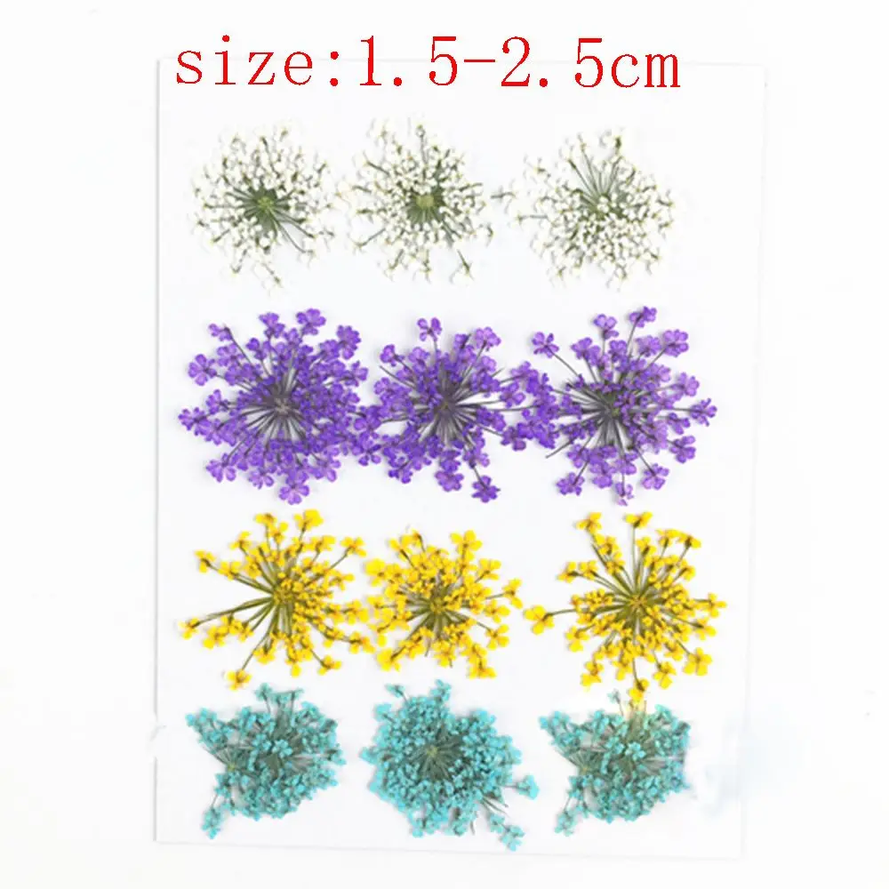 Slide image e2655ccbd992499885ef5f33cfb1ccb2