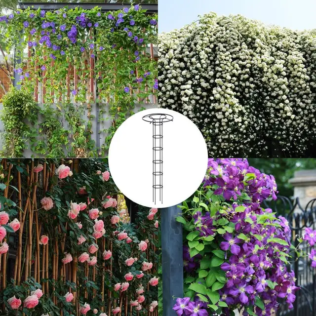 61 Inch Metal Garden Trellis Obelisk - Umbrella Shape For Climbing Roses, Vines & Vegetables