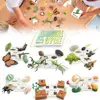1 Set Life Cycle Learning Toys Frog Butterfly Chicken Mantis Bee Plants Educational Figurines for Kids 1