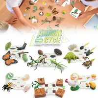1 Set Life Cycle Learning Toys Frog Butterfly Chicken Mantis Bee Plants Educational Figurines for Kids 1