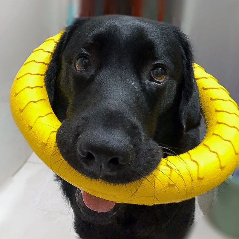 

Large breed dog toys interactive circle TAB golden labrador dog bites dog resistant ball grinding boredom artifact