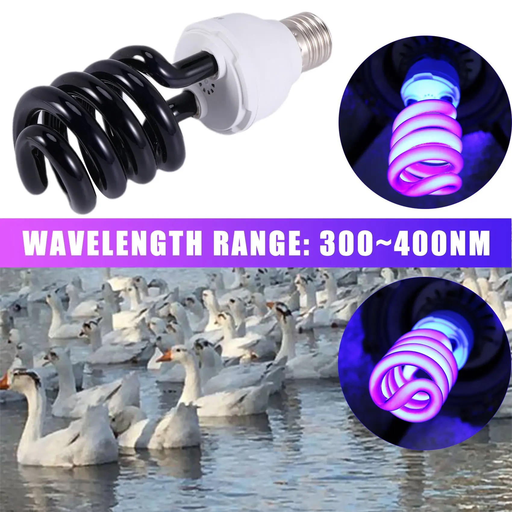 Slide image 6e4a7cb21337478faa7a432374218603