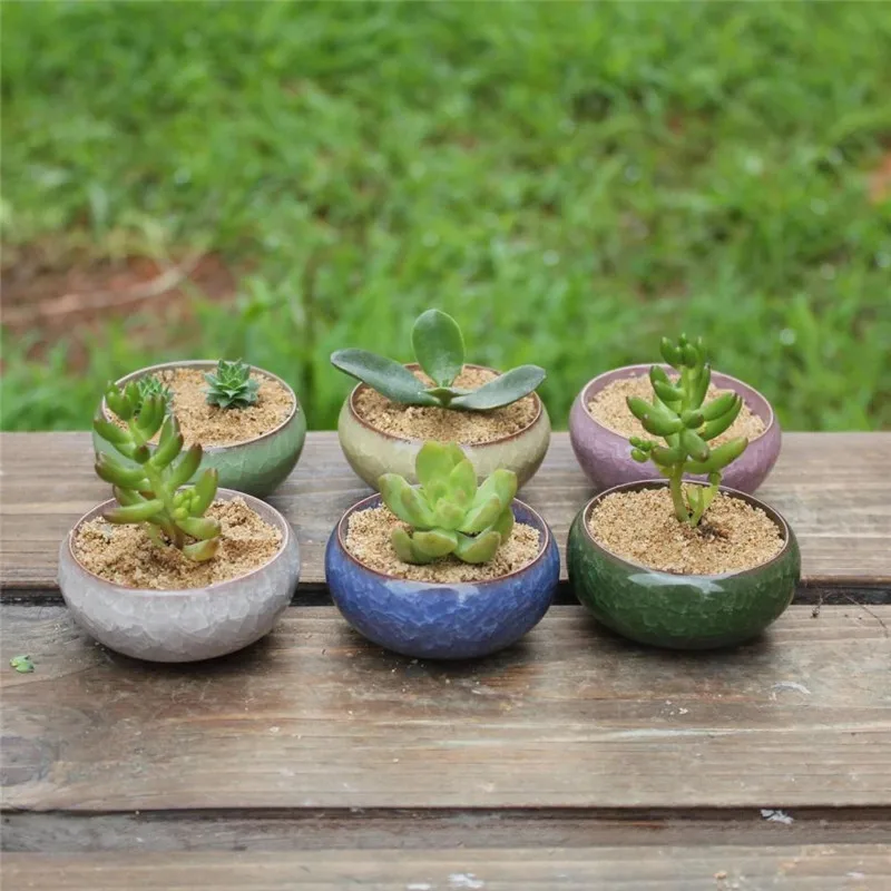 Tanio 6 sztuk/zestaw Mini małe ceramiczne Bonsai doniczka dla roślin
