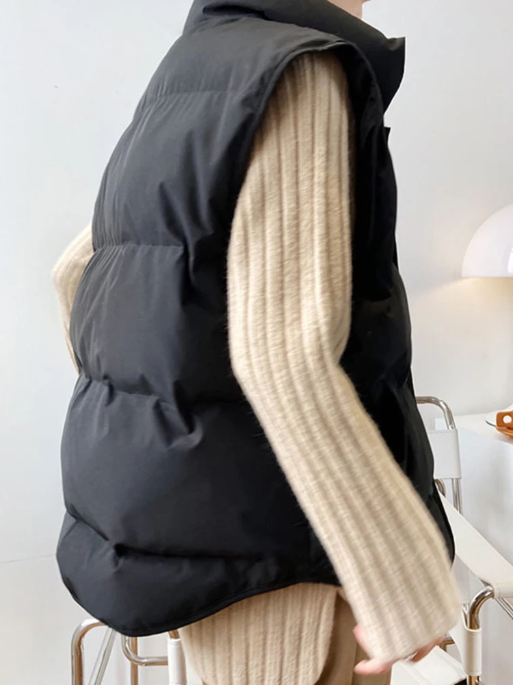 THE SHINZONE シンゾーン WILDTHINGS DOWN VEST THE SHINZONE シンゾーン WILDTHINGS DOWN VEST