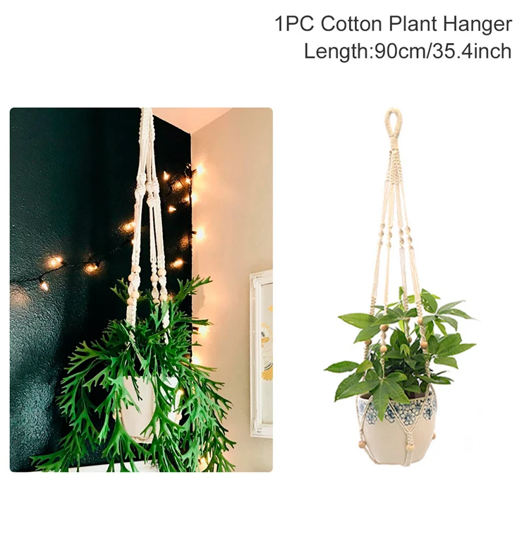 plant hanger 3