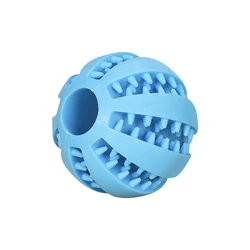 Interactive Bird Feeder and Chewing Toy Set - L (L)