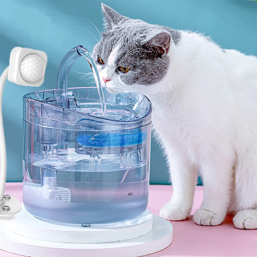werper Bende buste Automatic Pet Drinking Fountain | Drinking Fountain Dog Cat - 2l Cat Water  Fountain - Aliexpress