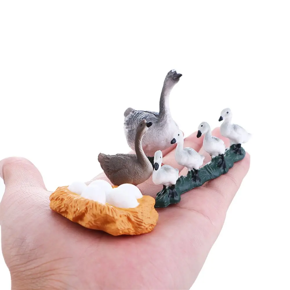 Gifts Kids Hen Educational Toys Cock Miniature White Goose Growth Cycle Simulation Life Cycle Figures Duck Figurine