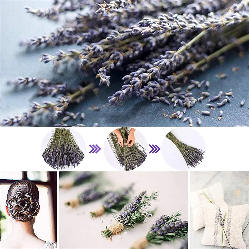 Timoo Dried Lavender Bundles 100% Natural Dried Lavender Flowers for Home  Decoration, Photo Props, Home Fragrance, 2 Bundles Pack