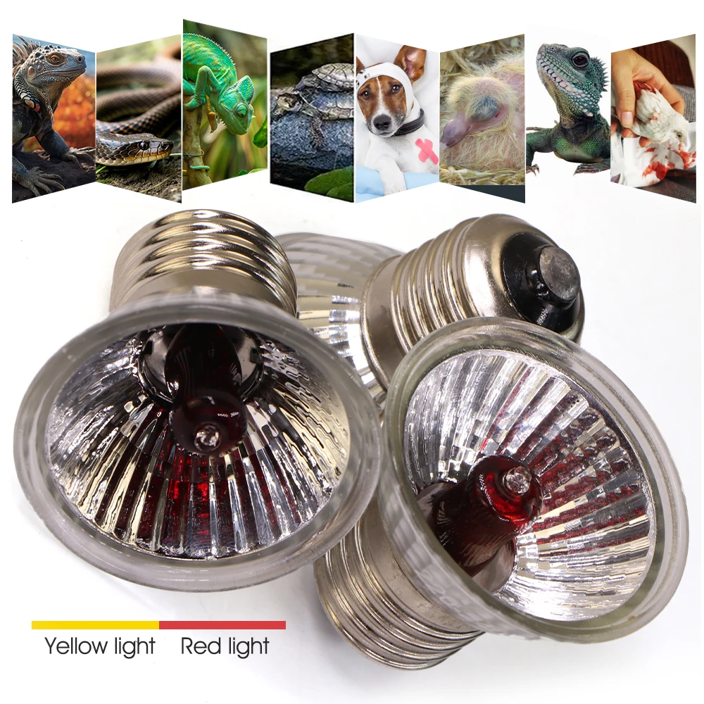 220V Pet Heating Lamp UVA+UVB Reptile Heating Lighting Lizards Tortoise ...