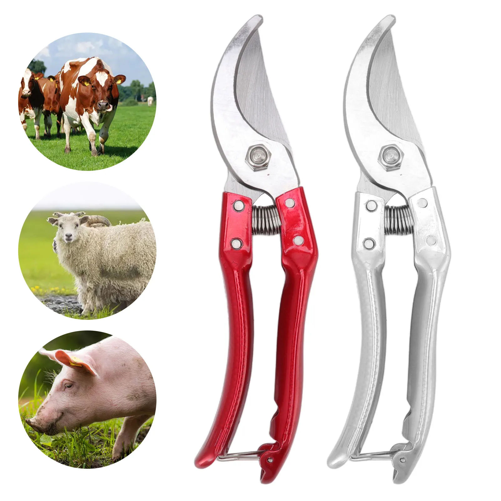 Slide image 97ffc3a394f84959a735d5776caf3a2c