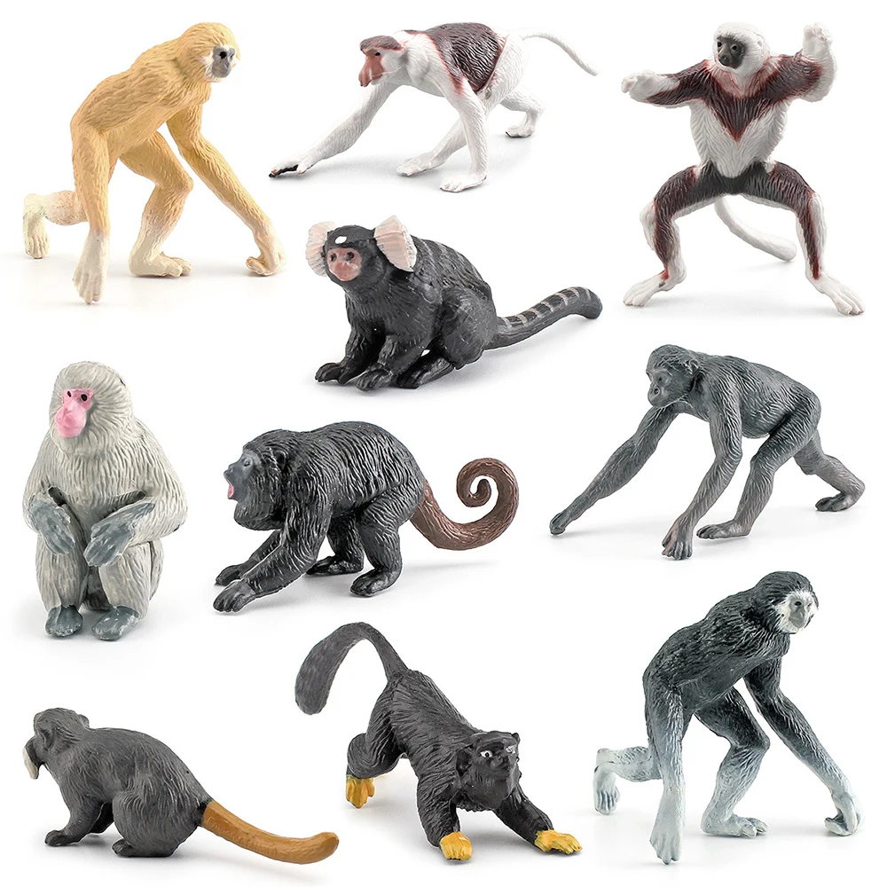 Animals Action Figure Monkey Figurines Monkey Figures Marmosets