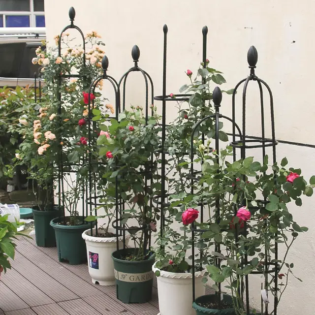 Kerti Obeliszk Rács A Mászó Növényekhez Pe Bevonat Acél Növény Ketrec Virág Tartó Szőlő Rózsák - Image 2