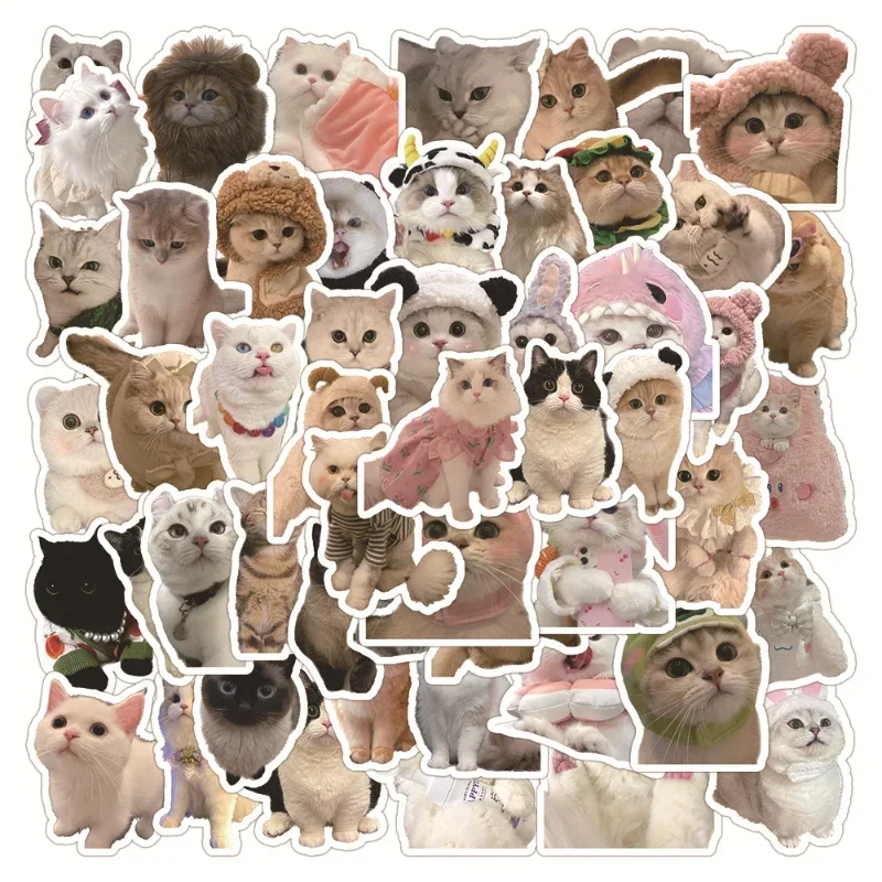 Sticker autocollant chaton mignon ️ - Déco Sticker Store